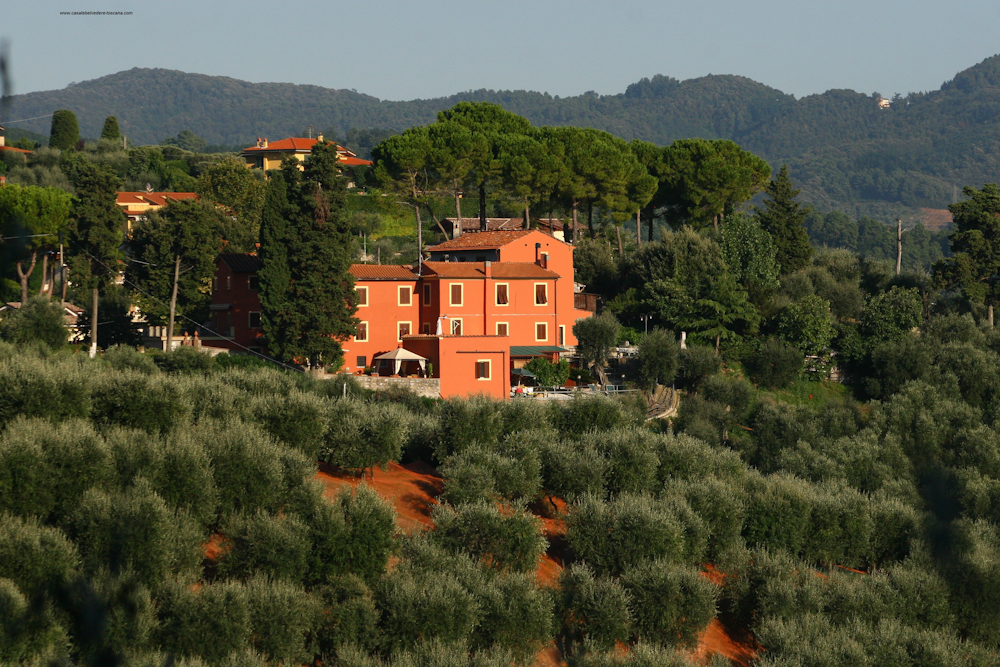 Casale Belvedere Tuscany: Pieve a Elici - Massarosa (Lucca)